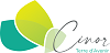 CINOR LOGO